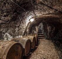 Gewölbekeller Weinkeller Keller 16 Grad ganzjährig - Erfurt Andreasvorstadt