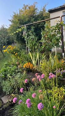 Foto - Grundst&uuml;ck zur Miete in Dresden