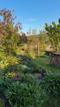 Foto - Grundst&uuml;ck in Dresden