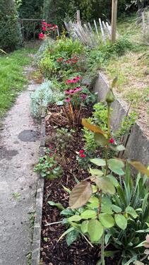 Foto - Grundst&uuml;ck in Dresden zur Miete