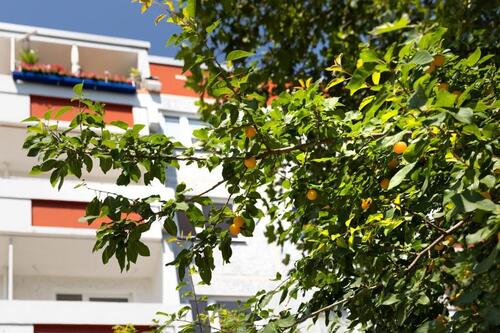 Foto - Wohntraum mit Balkon - 624,00&nbsp;EUR Kaltmiete, ca.&nbsp; 112,06&nbsp;m&sup2;