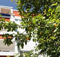 Wohntraum mit Balkon - 624,00&nbsp;EUR Kaltmiete, ca.&nbsp; 112,06&nbsp;m&sup2; in Halle (Saale) (PLZ: 06132) Silberhöhe