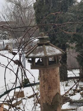 Foto - Einfamilienhaus in Parchim zum Kaufen
