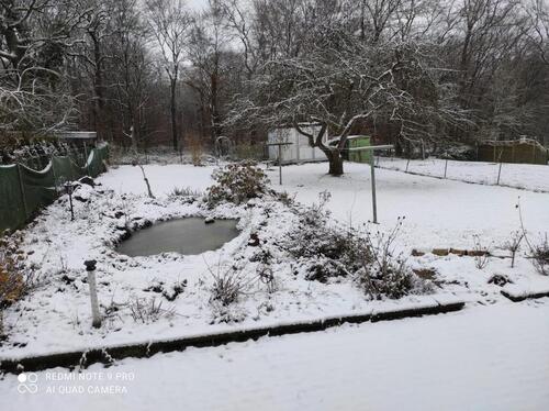 Foto - 8 Zimmer Einfamilienhaus in Lebach