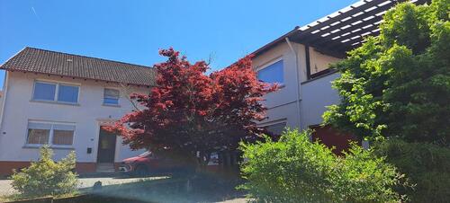 Foto - Mehrfamilienhaus Kreis Kusel von privat – ohne Maklercourtage!