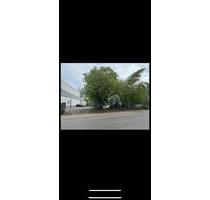 Autohandel Händler Stellplätze Gewerbegrundstück Autoplatz 650qm - München Aubing-Lochhausen-Langwied