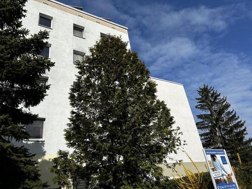 Foto - Wir haben für Sie neu saniert! - 350,00&nbsp;EUR Kaltmiete, ca.&nbsp; 57,89&nbsp;m&sup2;