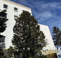 Wir haben für Sie neu saniert! - 350,00&nbsp;EUR Kaltmiete, ca.&nbsp; 57,89&nbsp;m&sup2; in Halle (Saale) (PLZ: 06132) Silberhöhe