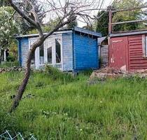 Kleingarten m Laube auf städtischem Pachtland - Neustadt in Sachsen