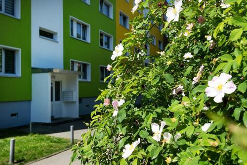 Foto - Neu saniert und mit Balkon! - 367,00&nbsp;EUR Kaltmiete, ca.&nbsp; 60,85&nbsp;m&sup2;