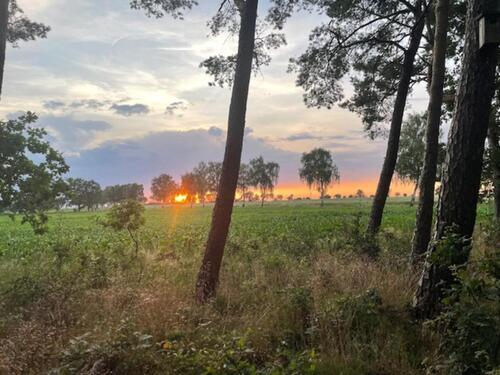 Foto - Wochenendhaus in der Südheide - 60.000,00 EUR Kaufpreis,