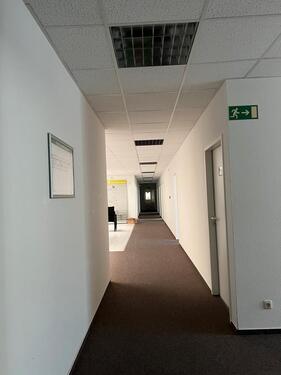 Foto - andere in Hoisdorf