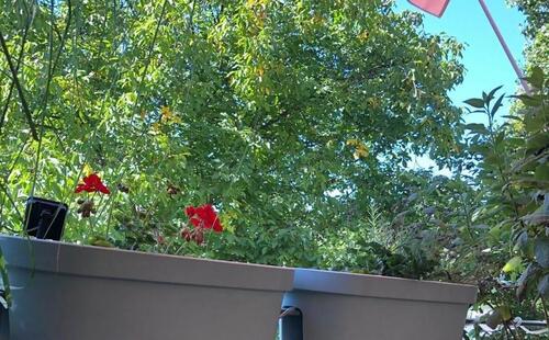 Foto - 2-Raum-Wohnung in Taucha – Balkon, Fußbodenheizung & Stellplatz!