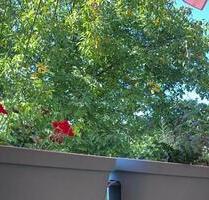 2-Raum-Wohnung in Taucha – Balkon, Fußbodenheizung & Stellplatz!