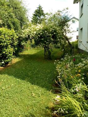 Foto - 7 Zimmer Einfamilienhaus in Kassel