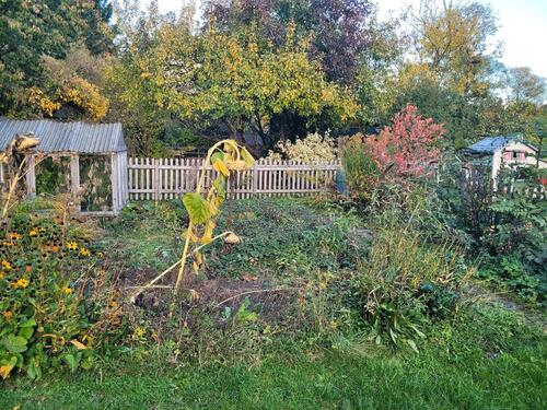 Foto - Pachtgarten abzugeben - 800,00 EUR Kaltmiete, ca.  0,00 m²