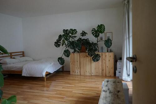 Foto - 1 Zimmerwohnung Apartment - 530,00 EUR Kaltmiete,