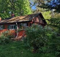 Holzhaus, XXL Tinyhouse ;-), fast Alleinlage am Waldrand - Wiesenburg/Mark