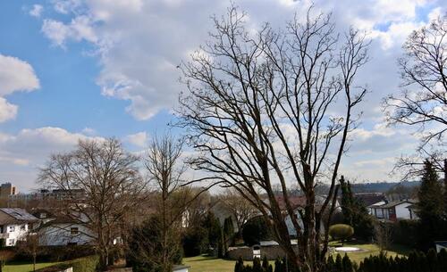 Foto - 3.5 Zimmer Einfamilienhaus in Landshut