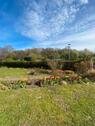 Foto - Pachtgarten - 2.000,00&nbsp;EUR Kaltmiete, ca.&nbsp; 0,00&nbsp;m&sup2;