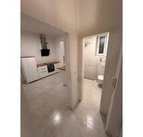 Sanierte 2-Zimmer Wohnung in Mannheim Sandhofen - 43 qm - Lampertheim