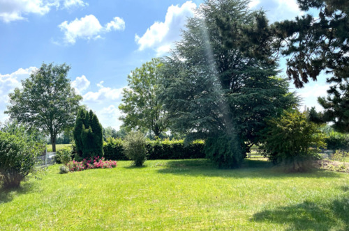 Foto - EFH Bungalow Grundstück mit Gartenparadies in Toplage