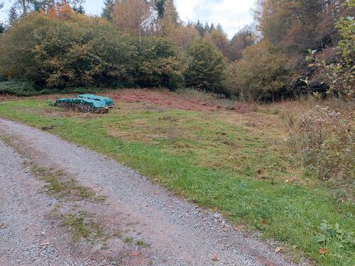 Foto - Wiese samt 10 Ster Buchenholz bei Selbach