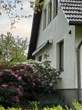 Foto - Einfamilienhaus auf tollem Grundstück in Hagenow zu verkaufen