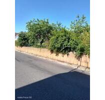 Bauplatz für 1-2 Häuser - 50,00 EUR Kaltmiete, ca.  0,00 m² in Schneckenlohe (PLZ: 96277)