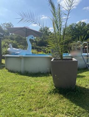 Foto - Bungalow in Saarbrücken zum Kaufen