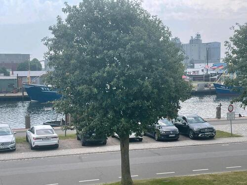 Foto - 2 Zimmer Hochparterre zum Kaufen in Büsum