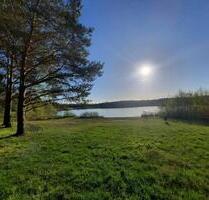 Restplätze Sep. Angeln Urlaub am Kiebitzsee im Bungalow - Falkenberg/Elster