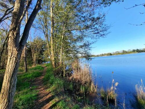Foto - andere in Falkenberg/Elster