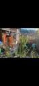 Foto - Haus,2-3 Familienhaus,gemeinschaftlicher Garten,voll vermietet