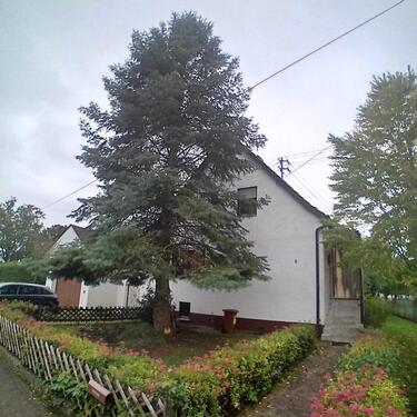 Foto - freistehendes Einfamilienhaus, 2 abgeschlossene Wohnungen möglich