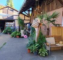 WG-Zimmer mit Balkon und großzügiger Terrasse. - Ilsfeld