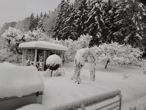 Foto - andere zur Miete in Waldkirchen