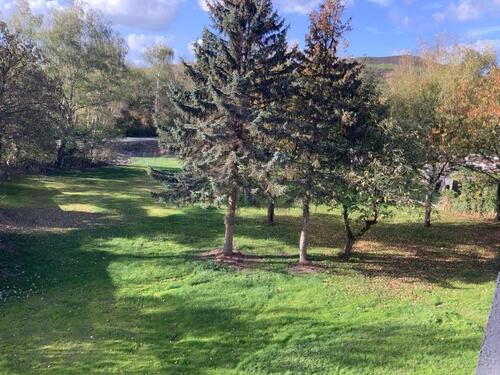 Foto - 2 Zimmer Etagenwohnung zur Miete in Gelsenkirchen