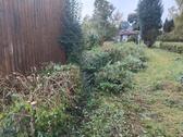 Foto - Grundstück in Pockau-Lengefeld zur Miete