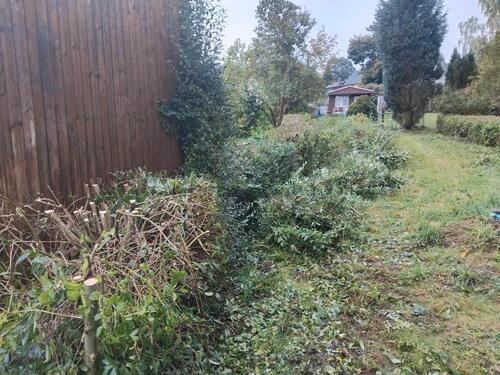 Foto - Grundstück in Pockau-Lengefeld zur Miete