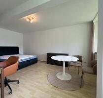 voll möbliertes 1,5-Zimmer-Apartment in Hattersheim - Hattersheim am Main