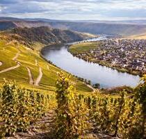 Ferienwohnung Weingarten in Piesport an der Mosel