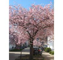 Loft in Haan - Gruiten zu vermieten