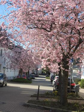 Foto - 1 Zimmer Loft - Studio - Atelier zur Miete in Haan