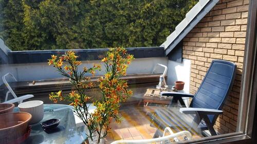 Foto - 2 Zimmer Wohnung - 105.000,00&nbsp;EUR Kaufpreis, ca.&nbsp; 50,00&nbsp;m&sup2;
