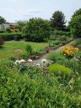 Foto - Grundstück zur Miete in Neustadt in Sachsen