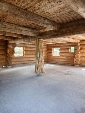 Foto - Einzigartige Baumstammwohnung aus Douglasie am Feldberg