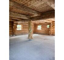 Einzigartige Baumstammwohnung aus Douglasie am Feldberg - Feldberg (Schwarzwald)