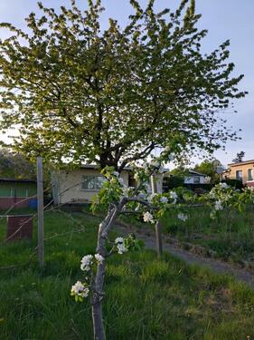 Foto - Kleingarten Rostock-Südstadt - 2.900,00&nbsp;EUR Kaltmiete, ca.&nbsp; 0,00&nbsp;m&sup2;