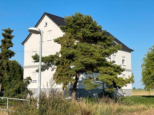 Foto - Einfamilienhaus zum Kaufen in Barleben